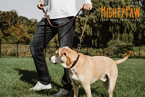 Mighty Paw Collar de cuero para entrenamiento, collar Martingale, cadena de acero inoxidable, calidad premium, collar de cadena limitada