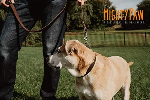 Mighty Paw Collar de cuero para entrenamiento, collar Martingale, cadena de acero inoxidable, calidad premium, collar de cadena limitada