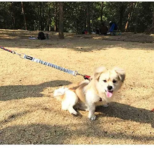 Yangbaga - Correa de extensión de amortiguador para perro, evita lesiones en el brazo y los hombros y evita que los perros se lastimen, ideal para bicicleta, correr, caminar