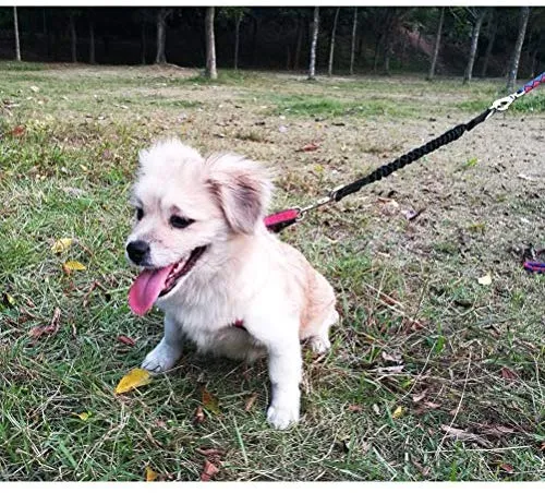 Yangbaga - Correa de extensión de amortiguador para perro, evita lesiones en el brazo y los hombros y evita que los perros se lastimen, ideal para bicicleta, correr, caminar