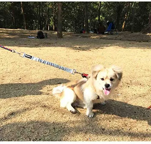 Yangbaga - Correa de extensión de amortiguador para perro, evita lesiones en el brazo y los hombros y evita que los perros se lastimen, ideal para bicicleta, correr, caminar