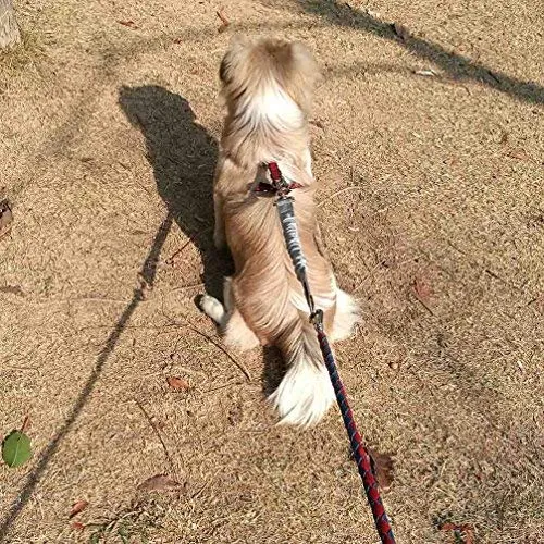 Yangbaga - Correa de extensión de amortiguador para perro, evita lesiones en el brazo y los hombros y evita que los perros se lastimen, ideal para bicicleta, correr, caminar