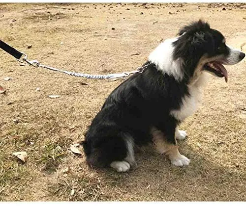 Yangbaga - Correa de extensión de amortiguador para perro, evita lesiones en el brazo y los hombros y evita que los perros se lastimen, ideal para bicicleta, correr, caminar