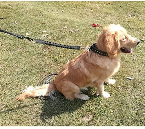 Yangbaga - Correa de extensión de amortiguador para perro, evita lesiones en el brazo y los hombros y evita que los perros se lastimen, ideal para bicicleta, correr, caminar