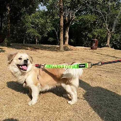 Yangbaga - Correa de extensión de amortiguador para perro, evita lesiones en el brazo y los hombros y evita que los perros se lastimen, ideal para bicicleta, correr, caminar