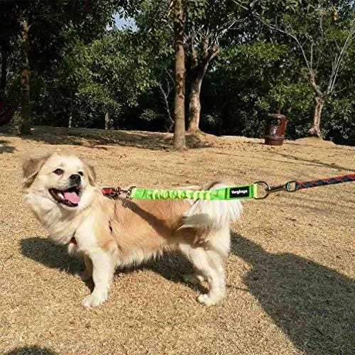 Yangbaga - Correa de extensión de amortiguador para perro, evita lesiones en el brazo y los hombros y evita que los perros se lastimen, ideal para bicicleta, correr, caminar
