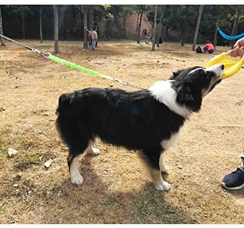 Yangbaga - Correa de extensión de amortiguador para perro, evita lesiones en el brazo y los hombros y evita que los perros se lastimen, ideal para bicicleta, correr, caminar