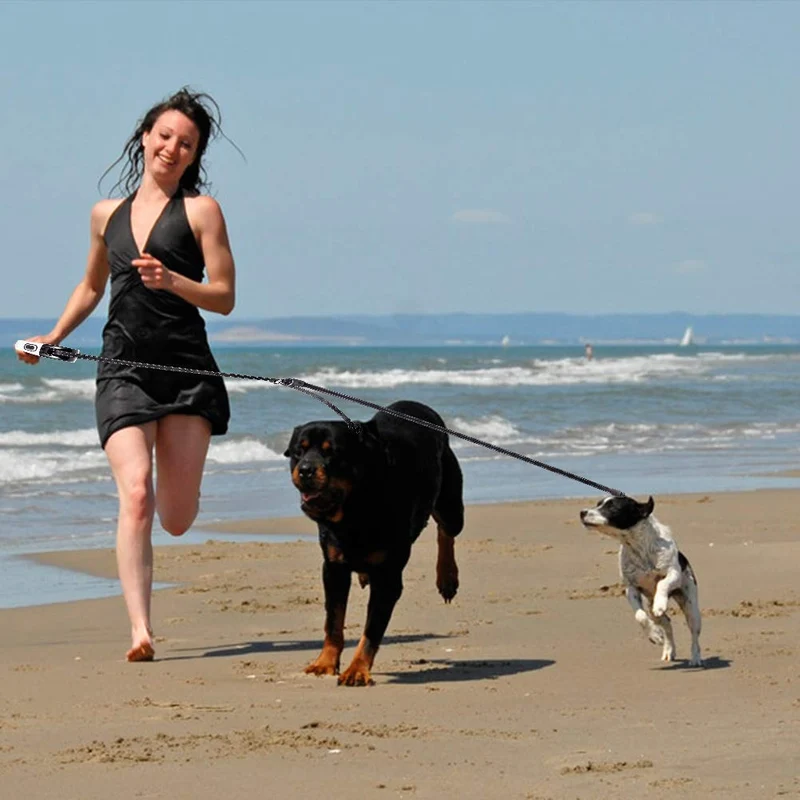 EXPAWLORER Correa retráctil doble para perro – Correa extensible de doble cabeza con bloqueo – Cinta de nailon reflectante de 16.0 ft – 360 ° libre de enredos para dos perros caminando entrenamiento, hasta 160 libras en total, 80 libras cada uno