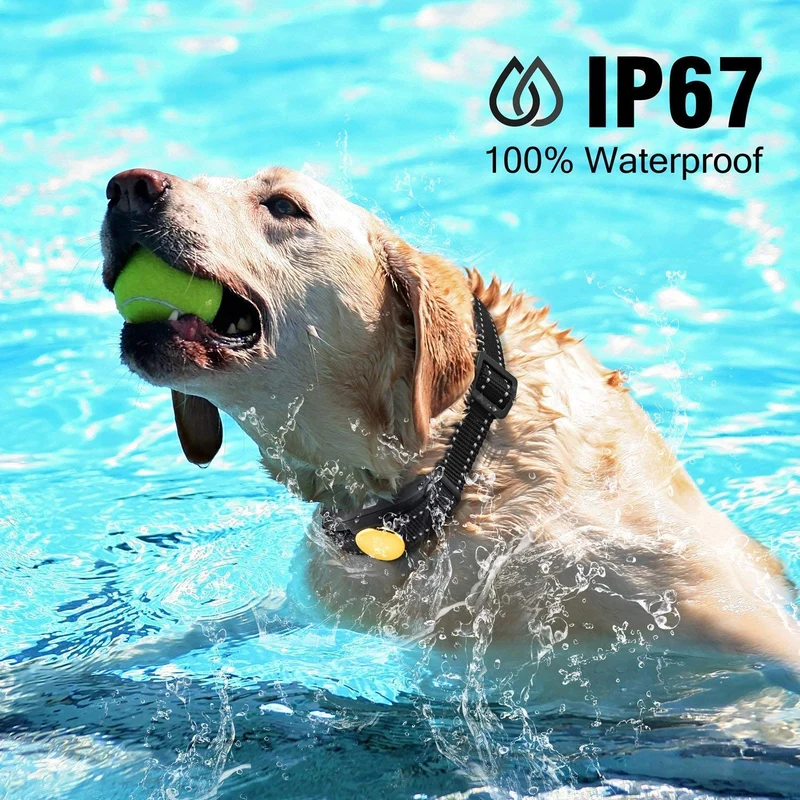 Casfuy Dog Training Collar with Remote - 1000ft Range Electric Shock Collar for 2 Dogs Rechargeable 100% Waterproof with Beep Vibration Harmless Shock for Small Medium Large Dogs