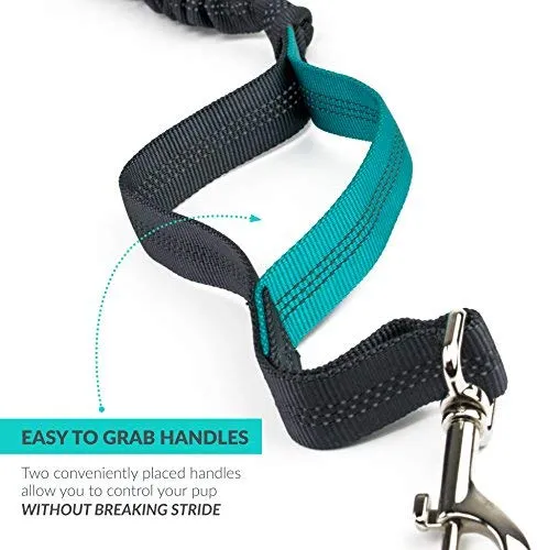 Tuff Mutt, Correa para perros, manos libres, para correr, caminar, senderismo, correa con mango doble durable, costura reflectante, 4 pies de largo, cinto ajustable en la cintura (hasta 42 pulgadas de cintura)