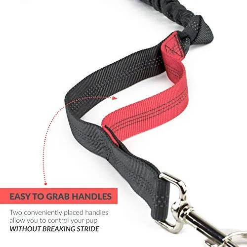 Tuff Mutt, Correa para perros, manos libres, para correr, caminar, senderismo, correa con mango doble durable, costura reflectante, 4 pies de largo, cinto ajustable en la cintura (hasta 42 pulgadas de cintura)