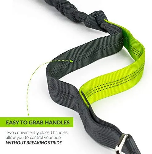 Tuff Mutt, Correa para perros, manos libres, para correr, caminar, senderismo, correa con mango doble durable, costura reflectante, 4 pies de largo, cinto ajustable en la cintura (hasta 42 pulgadas de cintura)