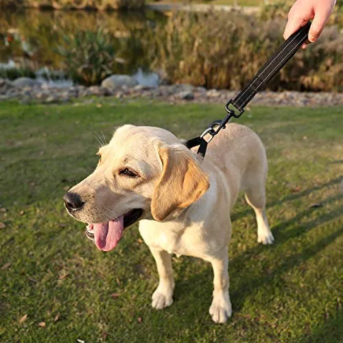 Vivaglory Correa corta para perro con asa acolchada, doble correa de nailon reflectante para mascotas para entrenar, correa para perros de tamaño mediano a grande