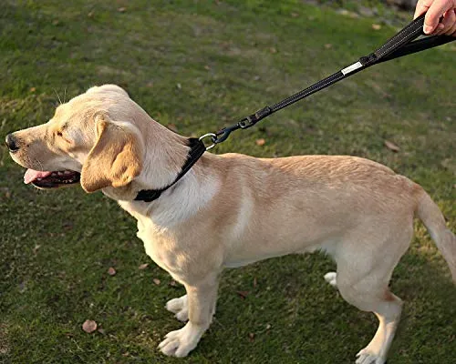 Vivaglory Correa corta para perro con asa acolchada, doble correa de nailon reflectante para mascotas para entrenar, correa para perros de tamaño mediano a grande