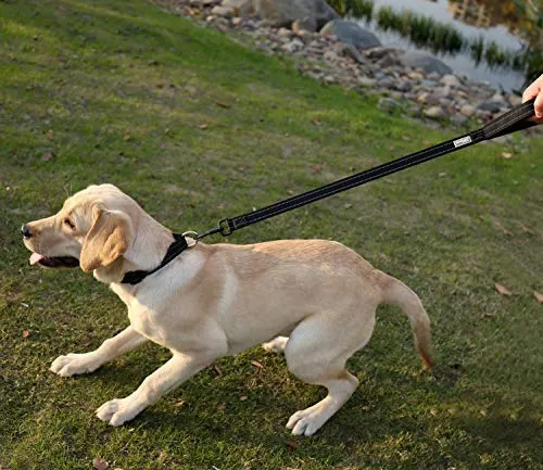 Vivaglory Correa corta para perro con asa acolchada, doble correa de nailon reflectante para mascotas para entrenar, correa para perros de tamaño mediano a grande