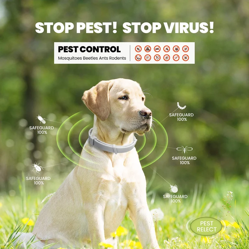PUPMATE Collar para perros, 8 meses de prevención, impermeable, 100% ingredientes naturales
