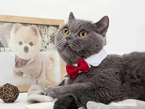 ZTON para cachorro pequeño, Navidad, hecho a mano, ajustable, formal, corbata de cuello para perros y gatos