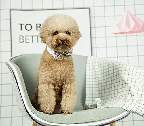 ZTON para cachorro pequeño, Navidad, hecho a mano, ajustable, formal, corbata de cuello para perros y gatos