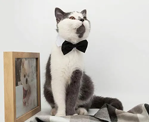 ZTON para cachorro pequeño, Navidad, hecho a mano, ajustable, formal, corbata de cuello para perros y gatos