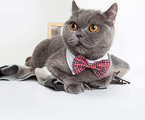 ZTON para cachorro pequeño, Navidad, hecho a mano, ajustable, formal, corbata de cuello para perros y gatos