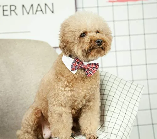 ZTON para cachorro pequeño, Navidad, hecho a mano, ajustable, formal, corbata de cuello para perros y gatos