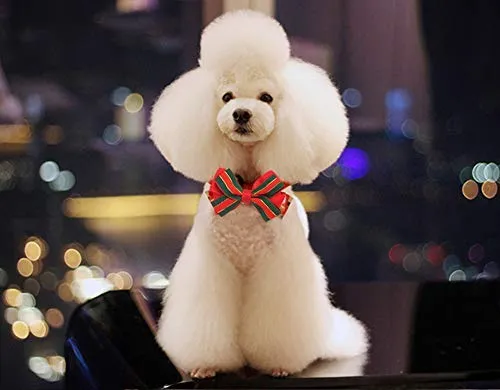 ZTON para cachorro pequeño, Navidad, hecho a mano, ajustable, formal, corbata de cuello para perros y gatos