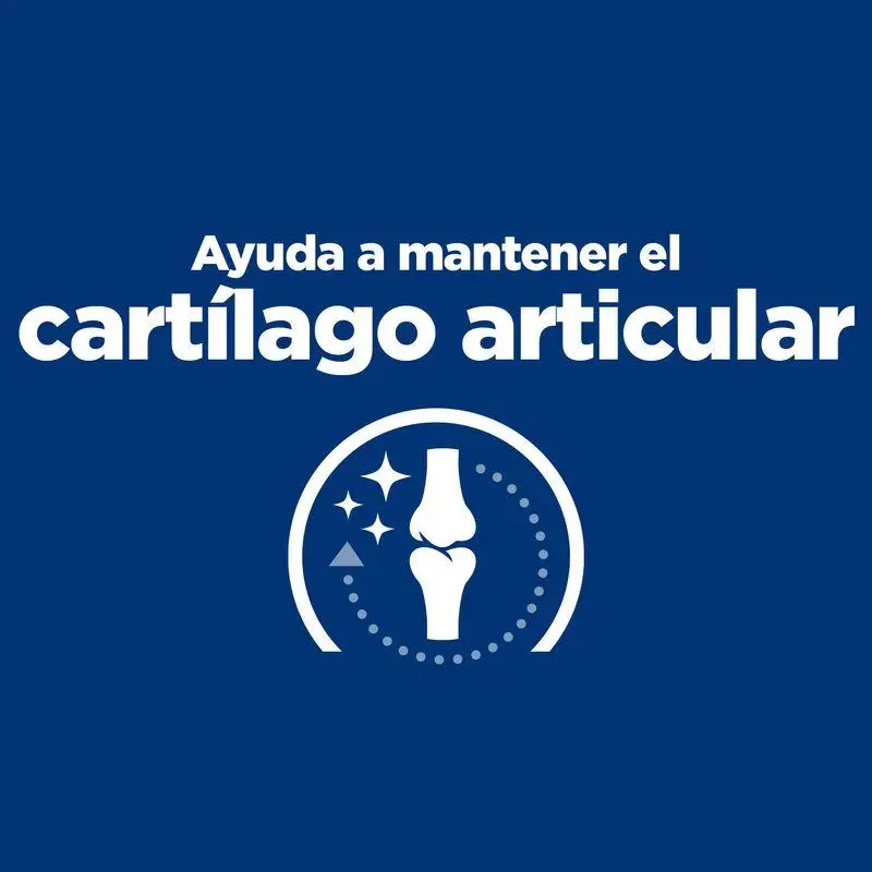 Hill'S J/D 1,5 kg Alimento para Gatos