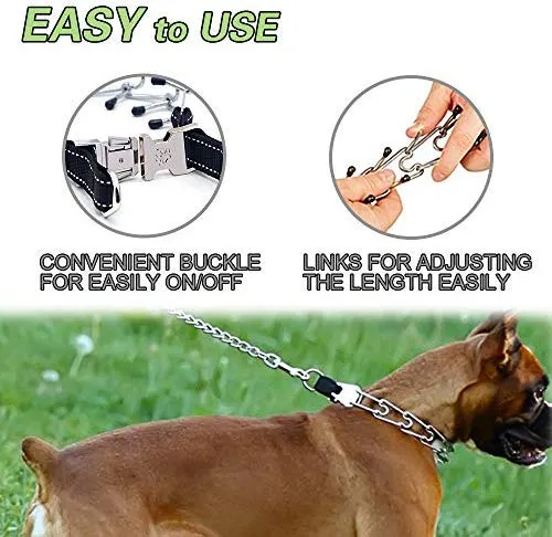 Wellbro collar de entrenamiento con dientes de metal para perros grandes y medianos (Pit Bull, pastor alemán), con hebilla a presión de liberación rápida y puntas de hule, plateado y regulable