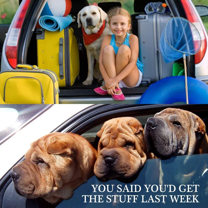 YuCool - Cinturón de seguridad ajustable para mascotas y gatos, 4 unidades, para coche, arnés de coche, tela de nailon, color negro, azul, rojo, morado