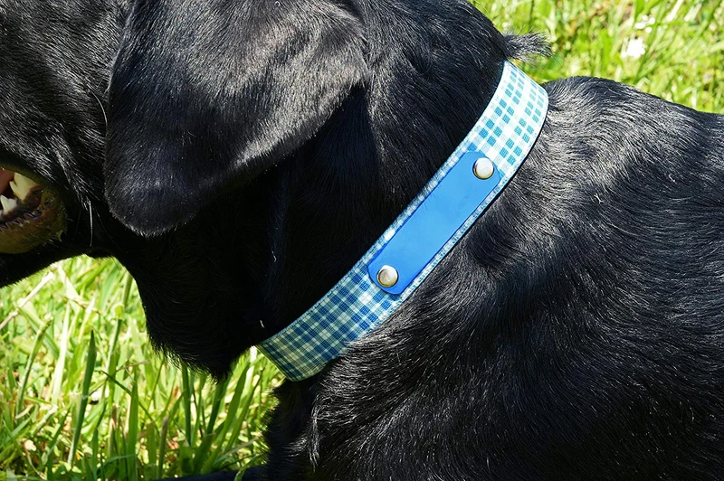 Collar con placa para nombre de perro, impermeable, a prueba de olor, disponible en 4 tamaños