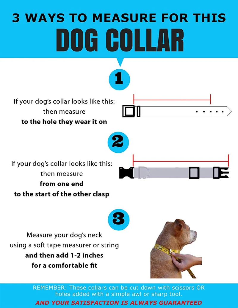 Collar con placa para nombre de perro, impermeable, a prueba de olor, disponible en 4 tamaños