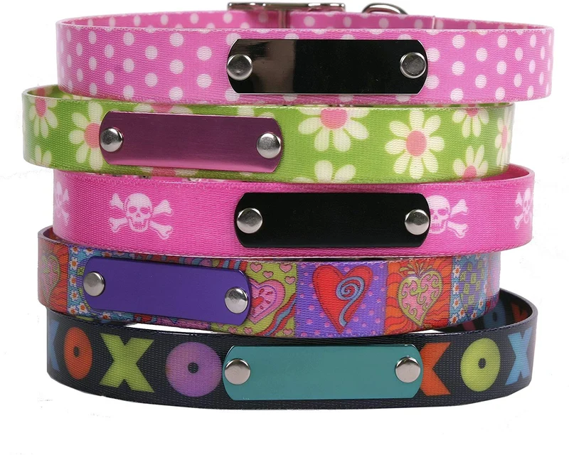 Collar con placa para nombre de perro, impermeable, a prueba de olor, disponible en 4 tamaños