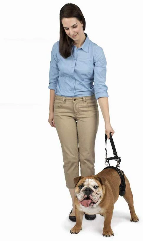 PetSafe Solvit CareLift Lifting Aid Harness for Dogs - Rear Only - Small, Medium, Large