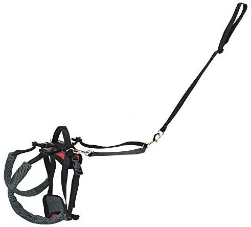 PetSafe Solvit CareLift Lifting Aid Harness for Dogs - Rear Only - Small, Medium, Large