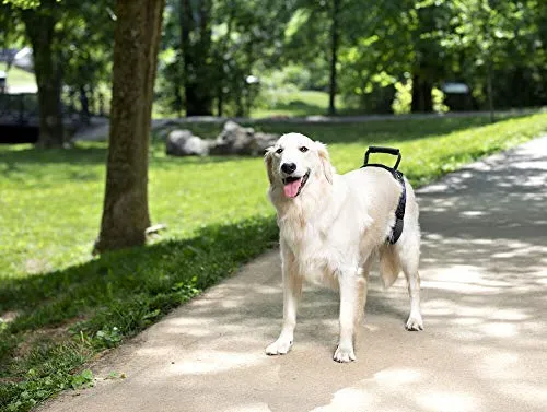PetSafe Solvit CareLift Lifting Aid Harness for Dogs - Rear Only - Small, Medium, Large