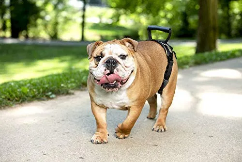 PetSafe Solvit CareLift Lifting Aid Harness for Dogs - Rear Only - Small, Medium, Large