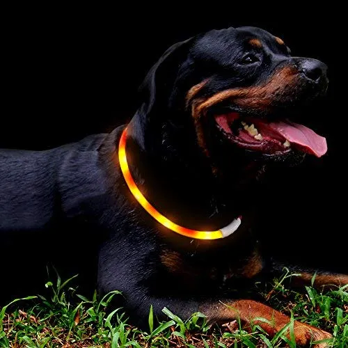 Collar LED para perro, recargable por USB, collar brillante para perro, cuello iluminado, mejora la seguridad y visibilidad de la mascota en la noche, 3 modos intermitentes, resistente al agua, collar iluminado para perros pequeños y medianos grandes