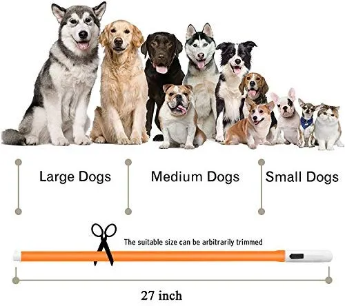 Collar LED para perro, recargable por USB, collar brillante para perro, cuello iluminado, mejora la seguridad y visibilidad de la mascota en la noche, 3 modos intermitentes, resistente al agua, collar iluminado para perros pequeños y medianos grandes