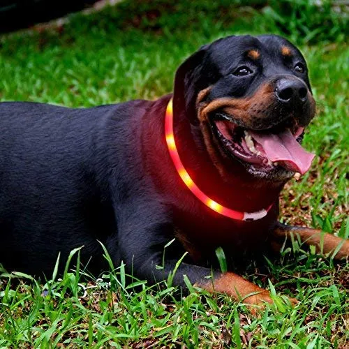 Collar LED para perro, recargable por USB, collar brillante para perro, cuello iluminado, mejora la seguridad y visibilidad de la mascota en la noche, 3 modos intermitentes, resistente al agua, collar iluminado para perros pequeños y medianos grandes