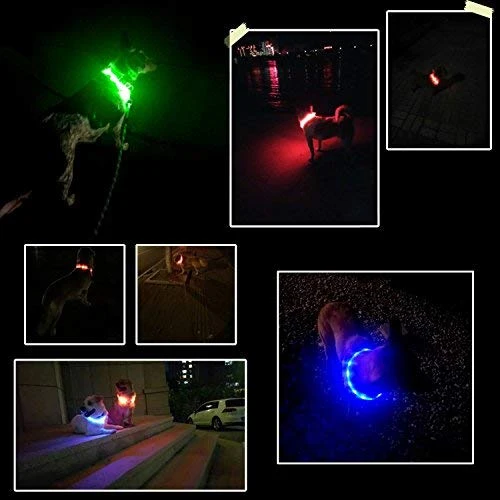 Collar LED para perro, recargable por USB, collar brillante para perro, cuello iluminado, mejora la seguridad y visibilidad de la mascota en la noche, 3 modos intermitentes, resistente al agua, collar iluminado para perros pequeños y medianos grandes