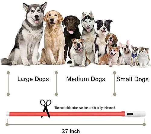 Collar LED para perro, recargable por USB, collar brillante para perro, cuello iluminado, mejora la seguridad y visibilidad de la mascota en la noche, 3 modos intermitentes, resistente al agua, collar iluminado para perros pequeños y medianos grandes