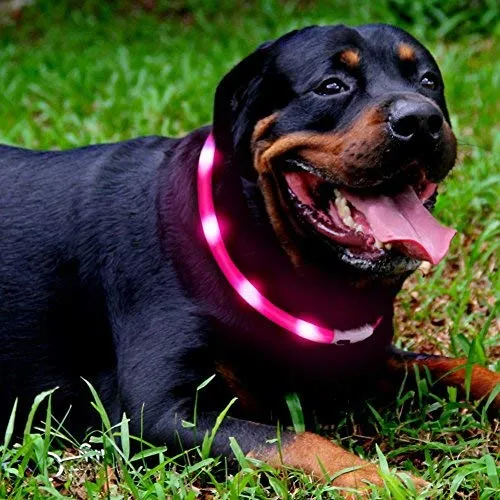 Collar LED para perro, recargable por USB, collar brillante para perro, cuello iluminado, mejora la seguridad y visibilidad de la mascota en la noche, 3 modos intermitentes, resistente al agua, collar iluminado para perros pequeños y medianos grandes