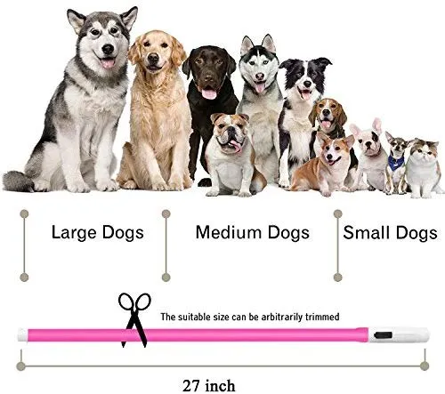 Collar LED para perro, recargable por USB, collar brillante para perro, cuello iluminado, mejora la seguridad y visibilidad de la mascota en la noche, 3 modos intermitentes, resistente al agua, collar iluminado para perros pequeños y medianos grandes