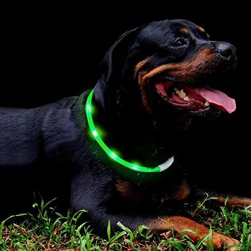 Collar LED para perro, recargable por USB, collar brillante para perro, cuello iluminado, mejora la seguridad y visibilidad de la mascota en la noche, 3 modos intermitentes, resistente al agua, collar iluminado para perros pequeños y medianos grandes