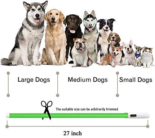 Collar LED para perro, recargable por USB, collar brillante para perro, cuello iluminado, mejora la seguridad y visibilidad de la mascota en la noche, 3 modos intermitentes, resistente al agua, collar iluminado para perros pequeños y medianos grandes