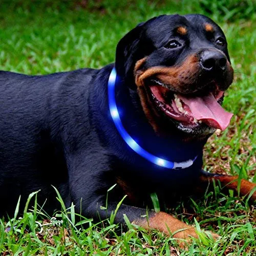 Collar LED para perro, recargable por USB, collar brillante para perro, cuello iluminado, mejora la seguridad y visibilidad de la mascota en la noche, 3 modos intermitentes, resistente al agua, collar iluminado para perros pequeños y medianos grandes