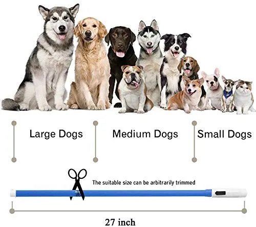 Collar LED para perro, recargable por USB, collar brillante para perro, cuello iluminado, mejora la seguridad y visibilidad de la mascota en la noche, 3 modos intermitentes, resistente al agua, collar iluminado para perros pequeños y medianos grandes