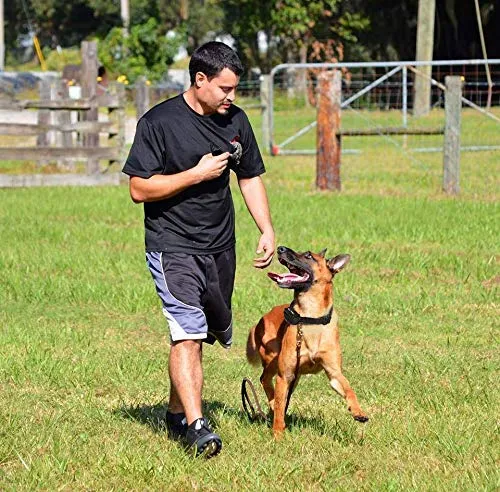 Mockins - Collar para perros con vibración de pitido y control remoto electrónico 100% resistente a la lluvia – Collar de distancia de 990 pies para perros ...