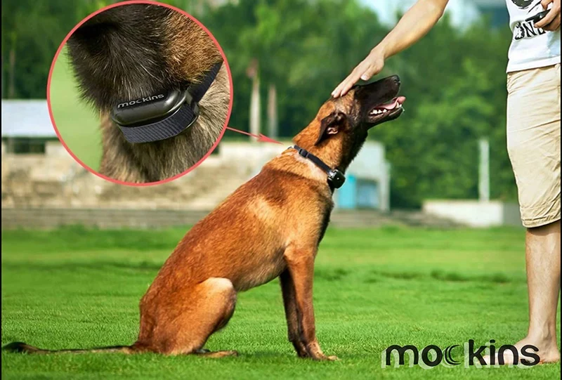 Mockins - Collar para perros con vibración de pitido y control remoto electrónico 100% resistente a la lluvia – Collar de distancia de 990 pies para perros ...