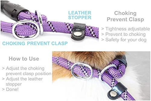 BAAPET Correa antideslizante para perro de 6 pies, antiasfixia con cubierta de cuerda duradera mejorada y asa acolchada cómoda para perros grandes, medianos y pequeños entrenamientos con bolsas de caca y dispensador